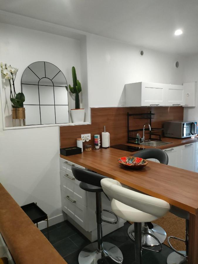 Apartament Le Petit Cocon - Parking Prive - Lyon Sud Vénissieux Zewnętrze zdjęcie