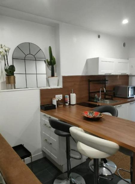 Apartament Le Petit Cocon - Parking Prive - Lyon Sud Vénissieux Zewnętrze zdjęcie